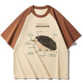 Hedgehog